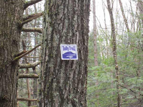 IMG_1876.JPG