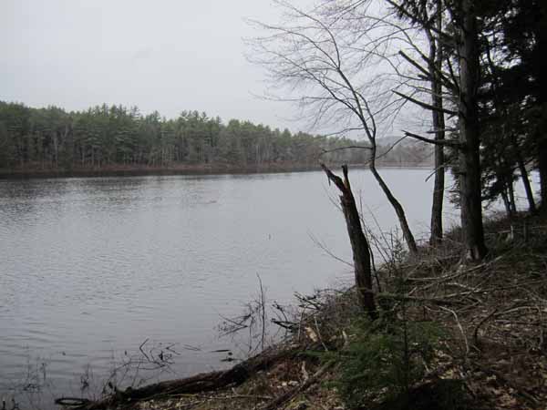IMG_1878.JPG