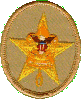 Star Badge